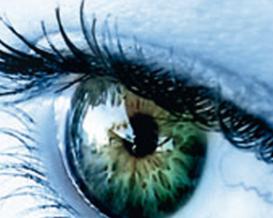 Die Augenlinse - der natürliche UV-Schutz1